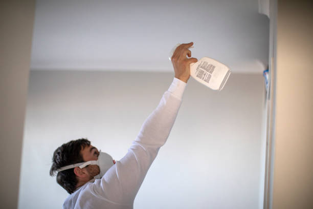 Best Commercial Mold Removal  in Lakeside, OR