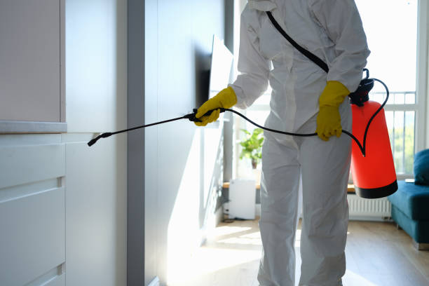 Crawl Space Mold Removal in Lakeside, OR