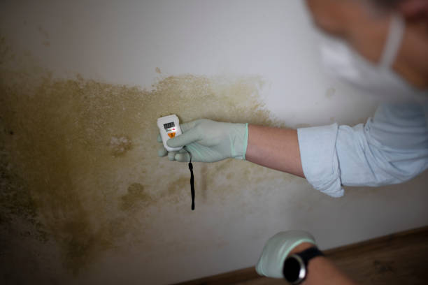 Best Mold Testing  in Lakeside, OR