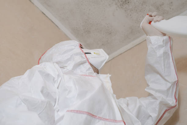 Best Local Mold Removal Service  in Lakeside, OR